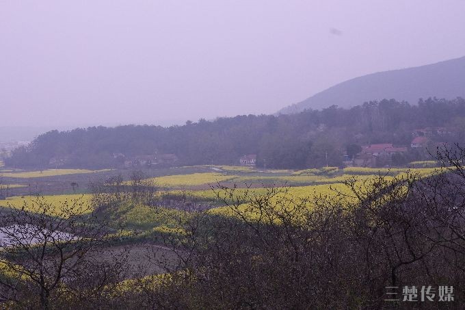 s680_IMG_0149.JPG