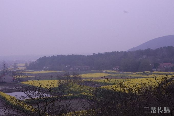 s680_IMG_0150.JPG