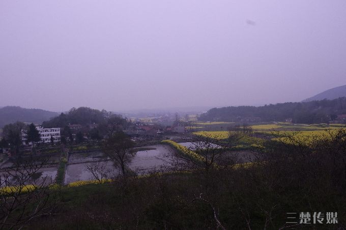 s680_IMG_0152.JPG