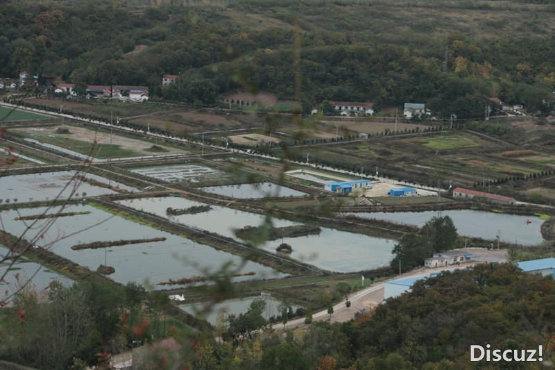 04.jpg