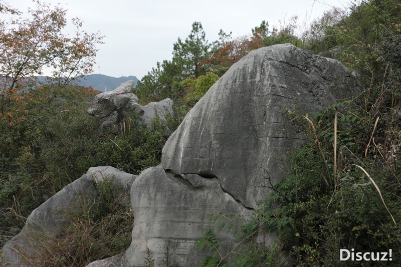 06.jpg