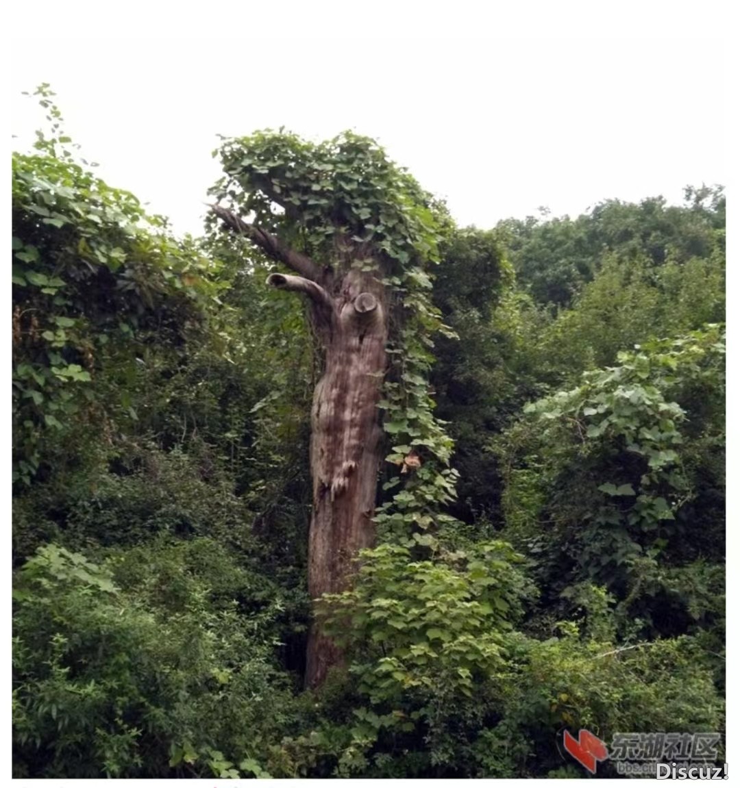 ͼ7.jpg